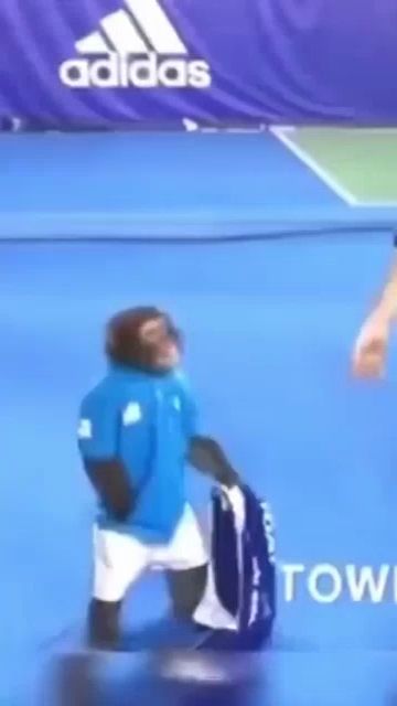 a monkey wearing a blue shirt and white shorts is holding a tennis racket on a tennis court sponsored by adidas