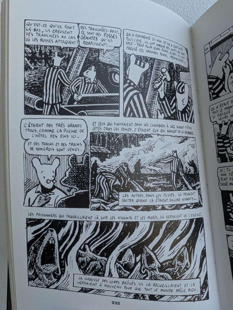 Page from Maus by Art Spiegelman. Art's father explains that not all prisoners died in the gas chambers. Some were burned alive while cremating the rest of the corpses.