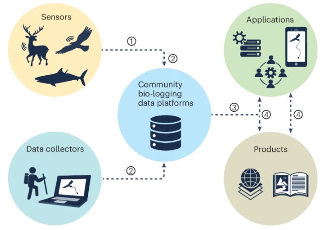 Fig 2 from Davidson et al. outlining proposed set of standards for bio-logging data.