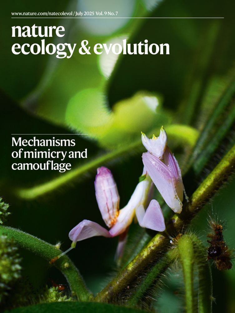 Cover of the July issue of Nature Ecology & Evolution showing an image of an orchid mantis. The headline reads "Mechanisms of mimicry and camouflage"