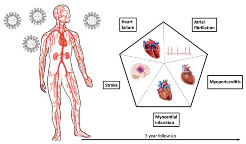 Persistent increase of cardiovascular and cerebrovascular events in COVID-19 patients: a 3-year population-based analysis