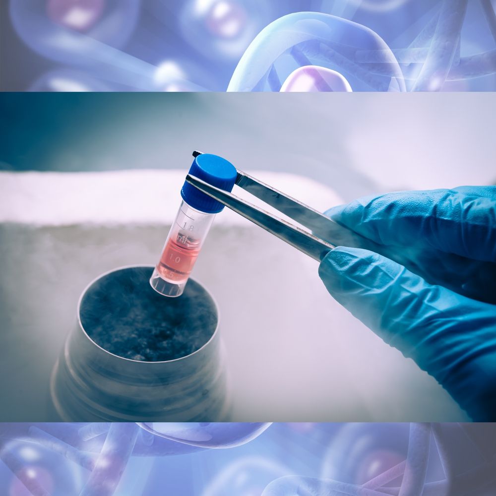 clear stem cells with pink nuclei on background. Person with blue glove removing a vial with pink fluid from liquid nitrogen.