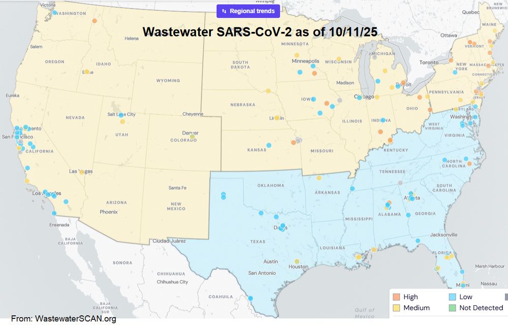 Picture of the US. South is blue which means low levels of SARS-CoV-2 in wastewater. The rest of the US is yellow which means Medium levels of SARS-CoV-2 in wastewater.