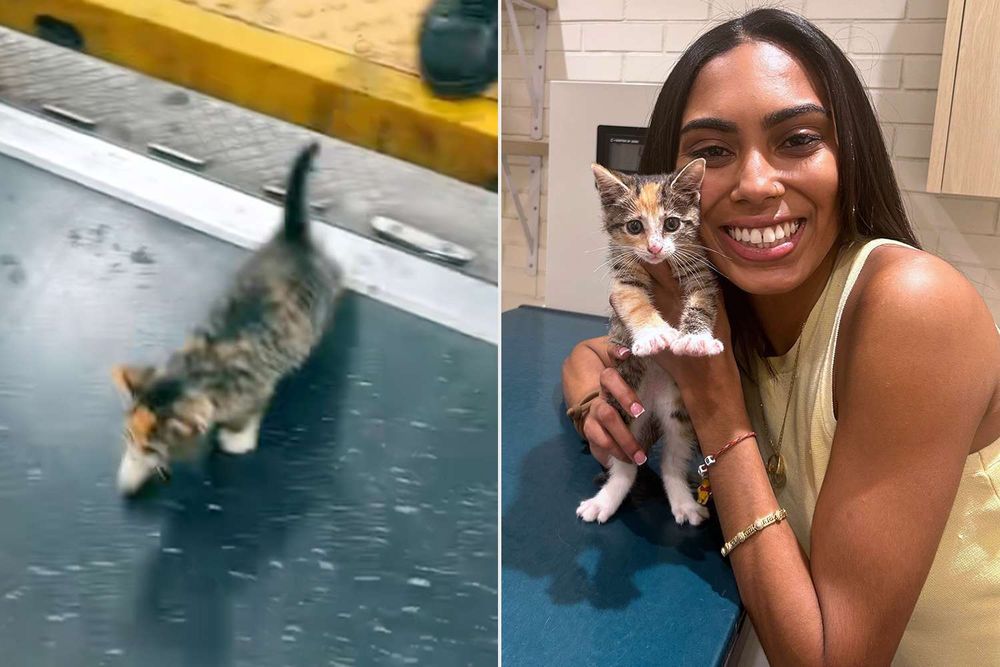Little kitten in grey and some orange hops on the subway. A woman holds the little kitten next to her face and is smiling. 