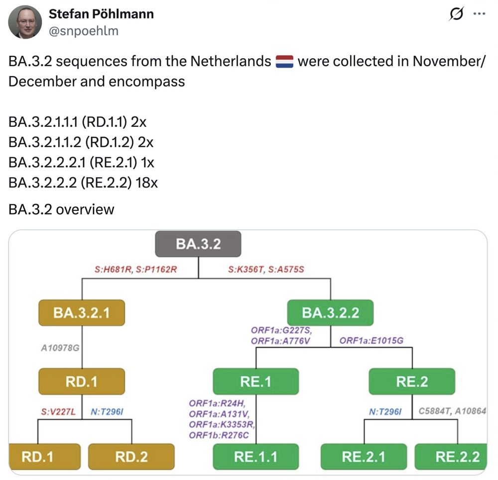 family tree of BA.3.2 variant of COVID in grey, mustard yellow and green. BA.3.2.2.2 (RE.2.2) is 18x of sequences.