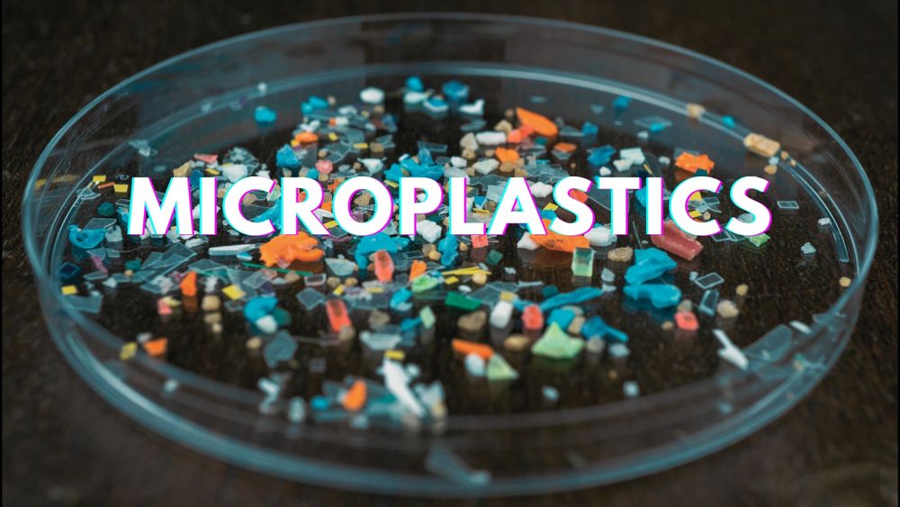 Petri dish on a table with orange, blue and light green microplastic pieces in it. MICROPLASTICS is written in white over picture.