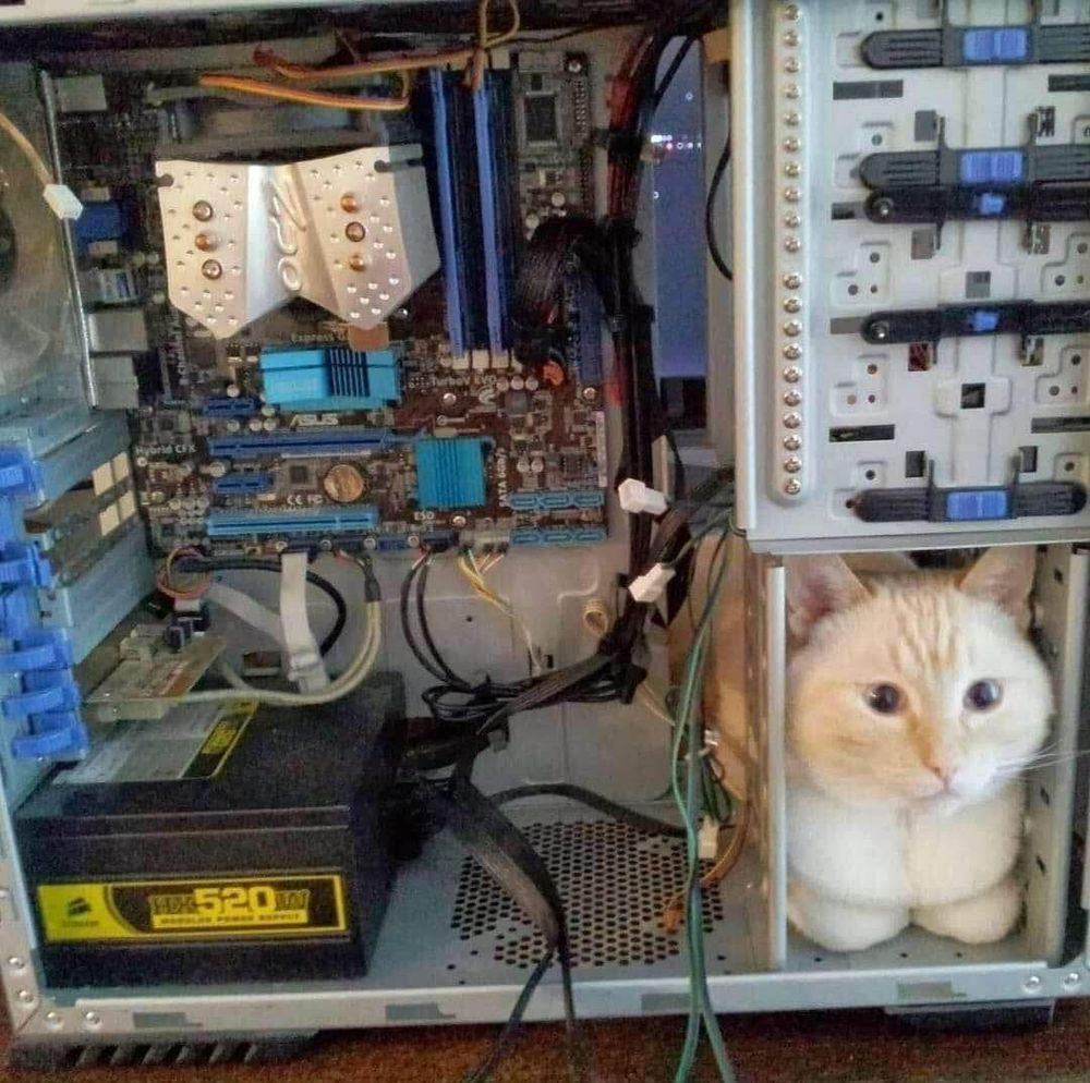 Pic of cat using part of desktop PC as a box