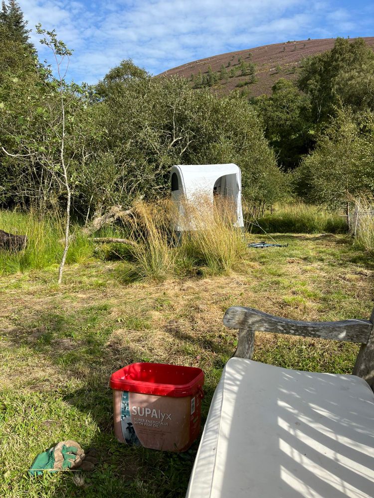 small (but tall) wash tent pitched down the newly mown garden. viewed from the bench. gardening gloves and a bucket nearby remind me there is still lots of work to be done. 