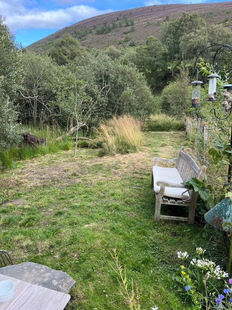 increasingly tidy patch (ie mowed grass. ish) of garden. If you don't think it looks all that much, you should have seen it before. 