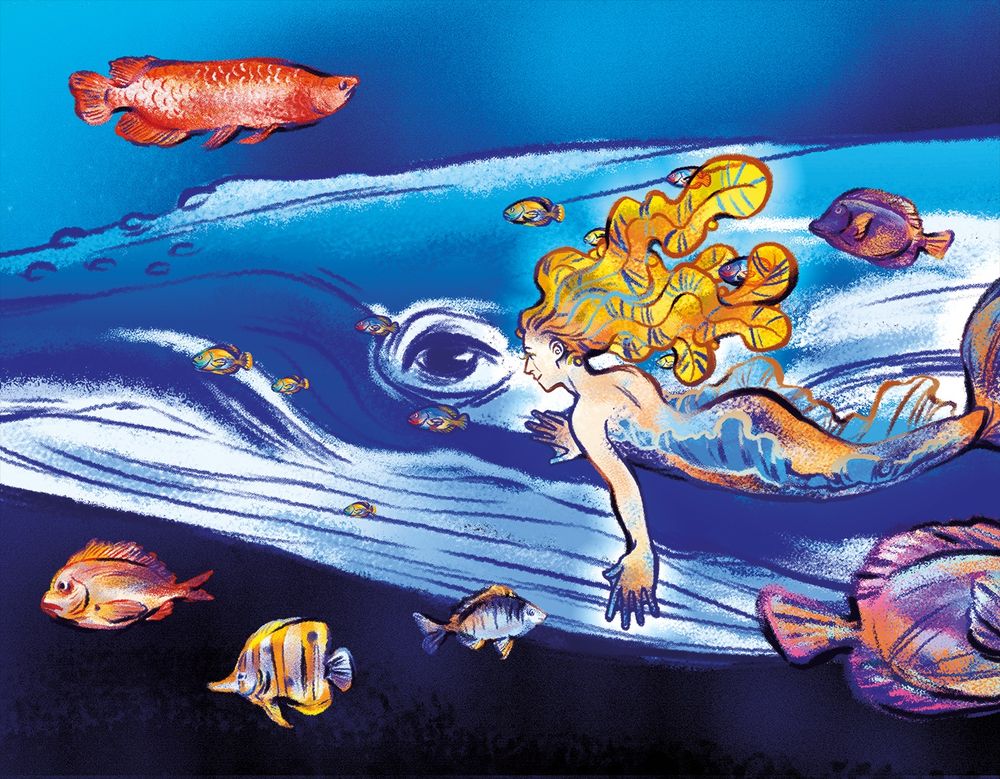digital drawing of a mermaid petting a whale surrounded by colorful fish
