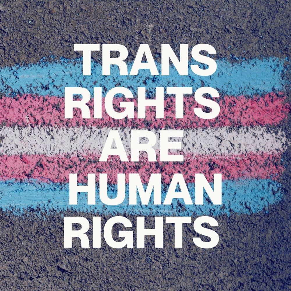 A meme of the transgender flag, blue, pink and white stripes , with a message that reads 'Trans Rights Are Human Rights'. 