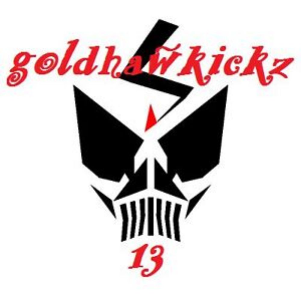 goldhawkickz13 | eBay Stores