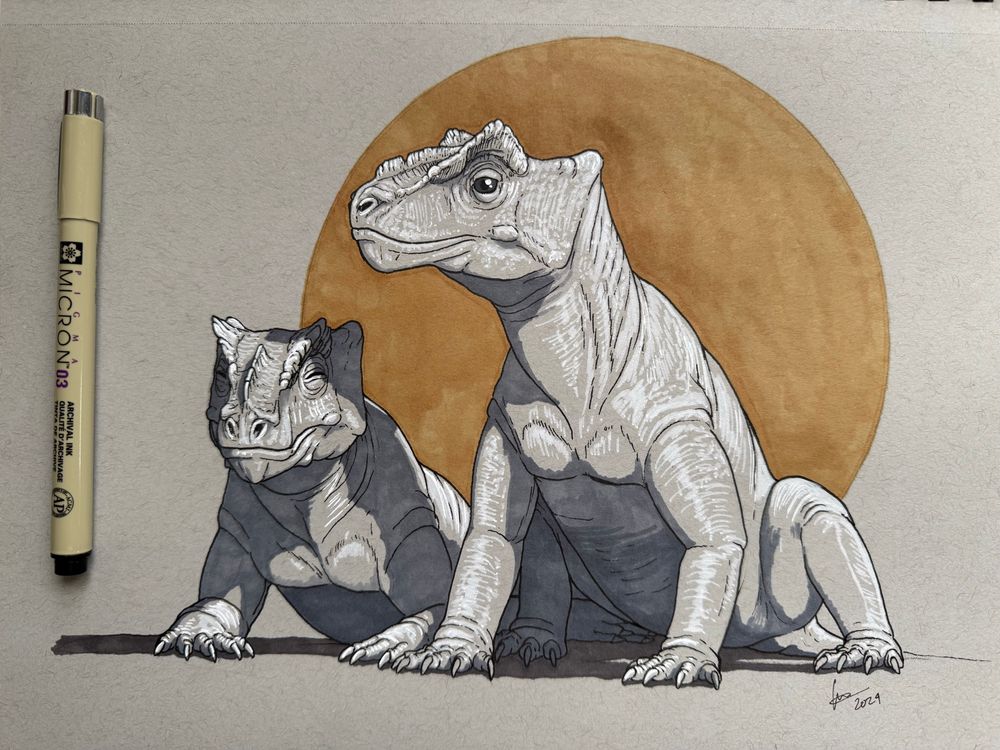 A pair of Proburnetia sitting and basking 