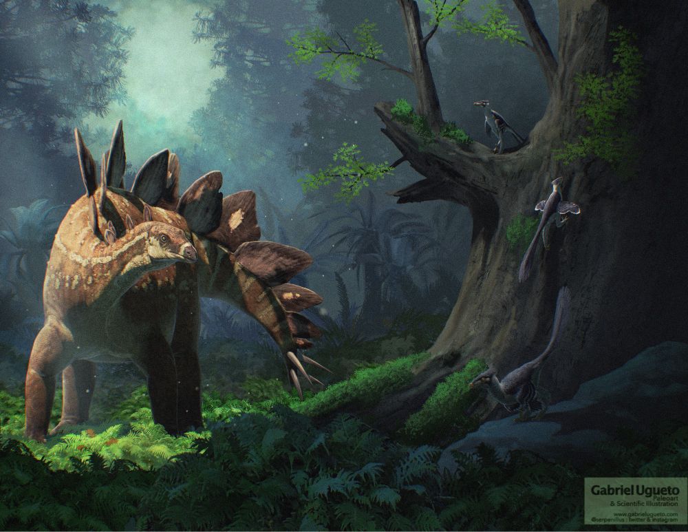 Illustration of Stegosaurus in a forest 