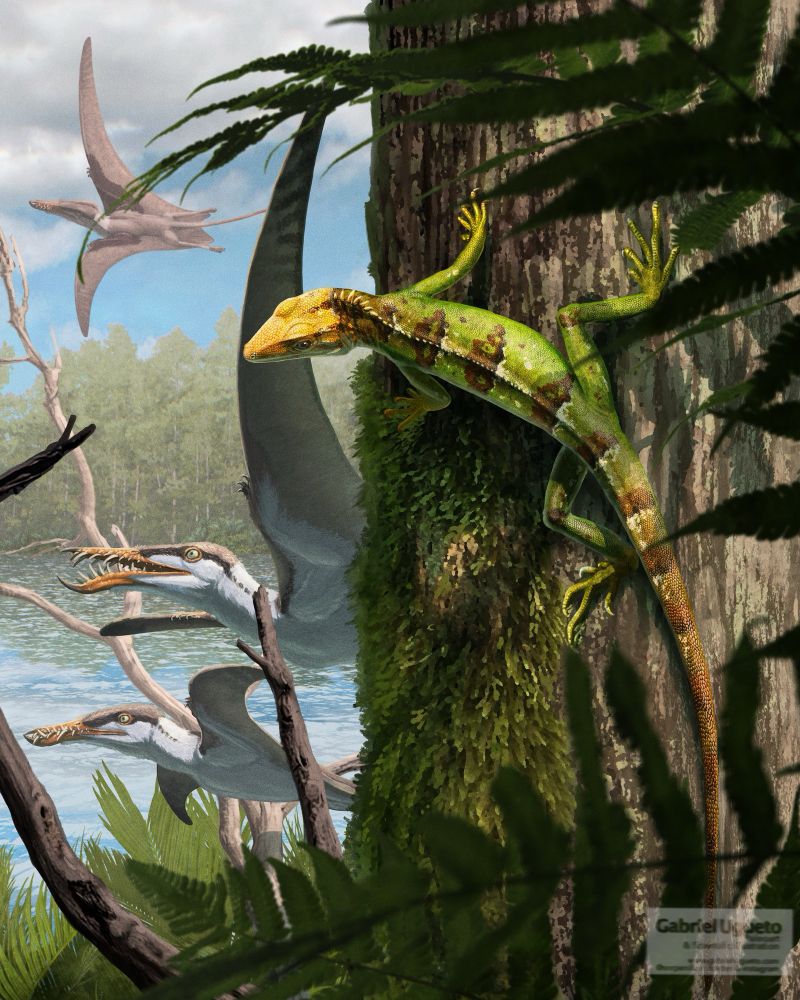 Illustration of Sphenodraco in its environment 