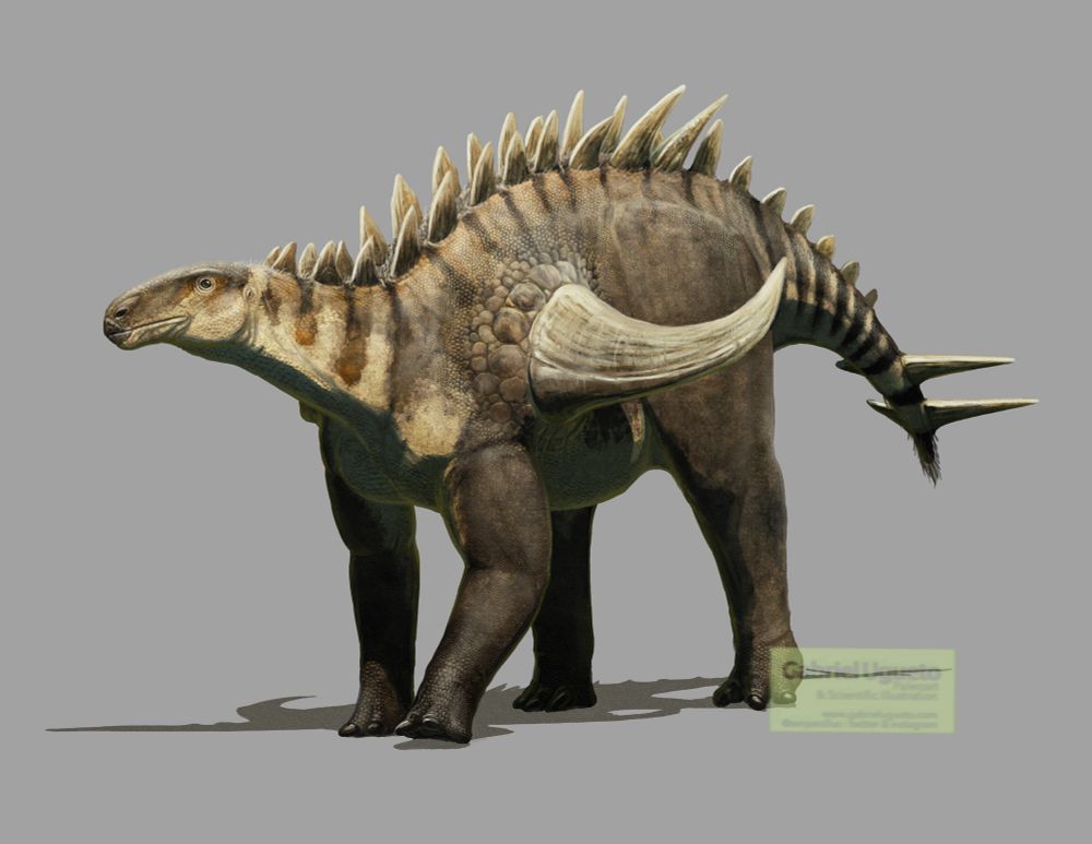 Reconstruction of Gigantspinosaurus walking 
