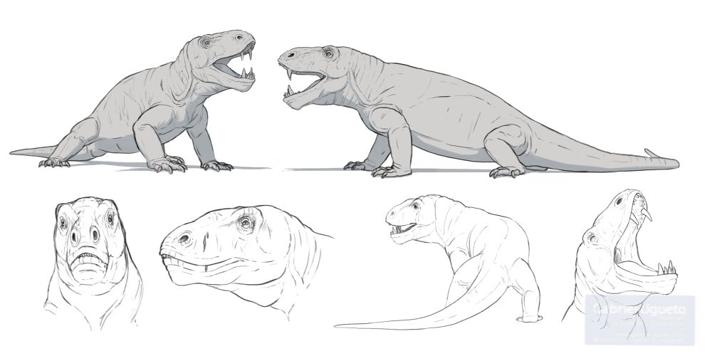 Studies of Titanophoneus. Top: Two Titanophoneus engaging in fight. Bottom: sketches of the head of Titanophoneus in various positions and also the body viewed from behind 
