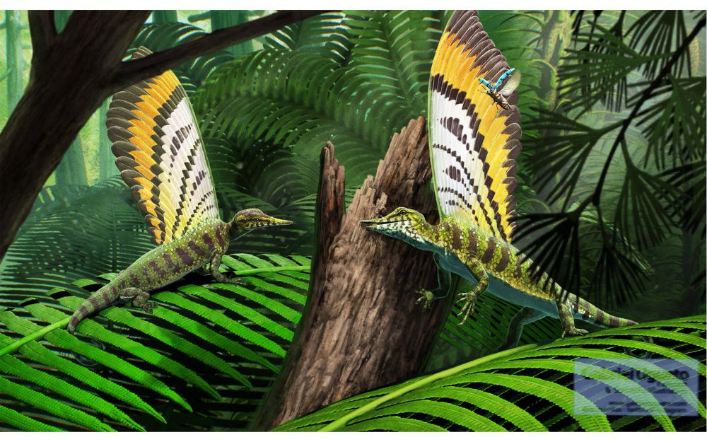 Illustration showing a pair of Mirasaura perched on fern fronds. The green animals show their tall orange, brown and white crests while a small beetle flies over one of them 