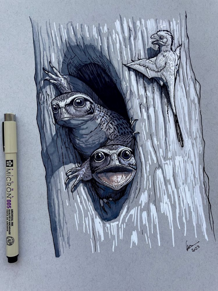 Two anurognathid pterosaurs (Jeholopterus) coming out of a tree hole. Only their heads and part of their arms are visible. One of them is opening its mouth widely. A small young Scansoriopterygid is perched on the same tree trunk a little bit higher that the tree hole where the two pterosaurs are