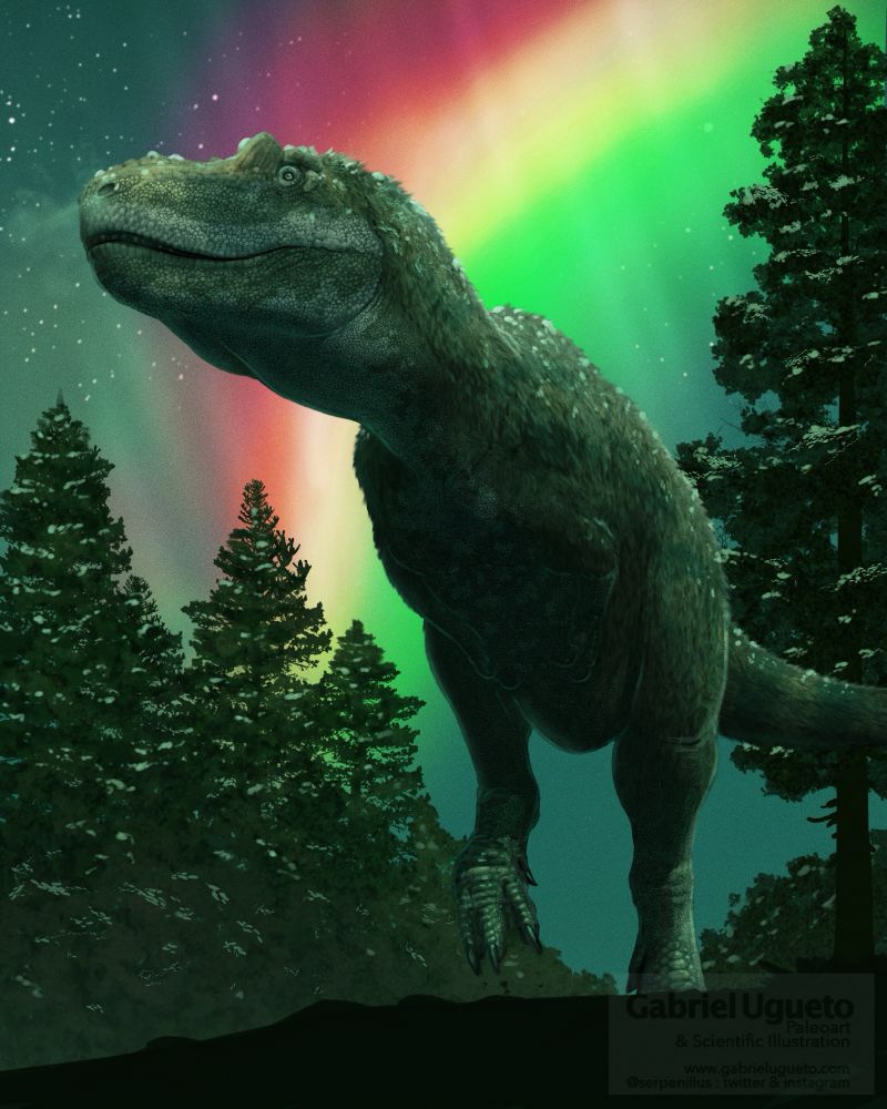 Nanuqsaurus viewed from below while walking under the northern lights and it is snowing lightly 
