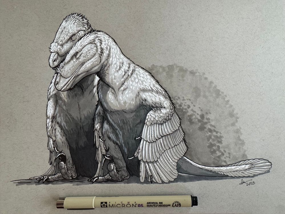 A pair of Deinonychus huddled together 