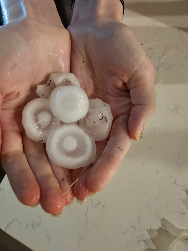 A pair of hands holding several large hail balls