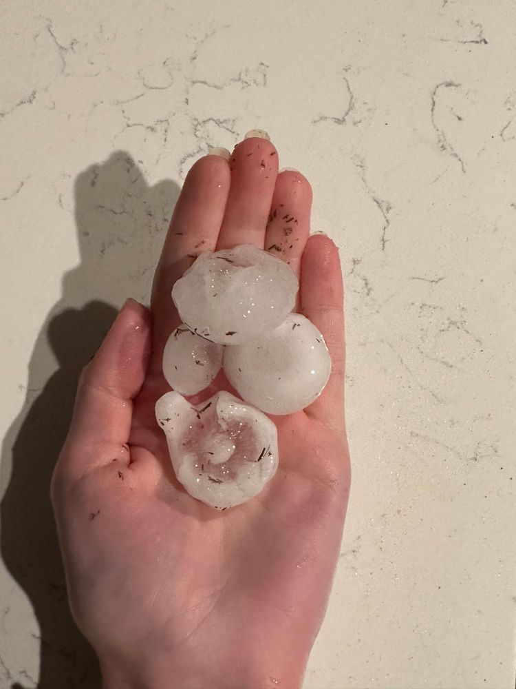 A pair of hands holding several large hail balls