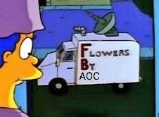 Marge Simpson looking out of her window at a surveillance van that says Flowers by AOC.