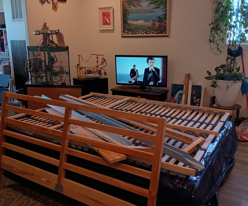 Mattresses in moving bags and a queen bedframe taken apart. Starlight by Muse plays on the TV. Cockatiel in a cage in the corner