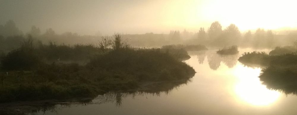 Greet wetlands