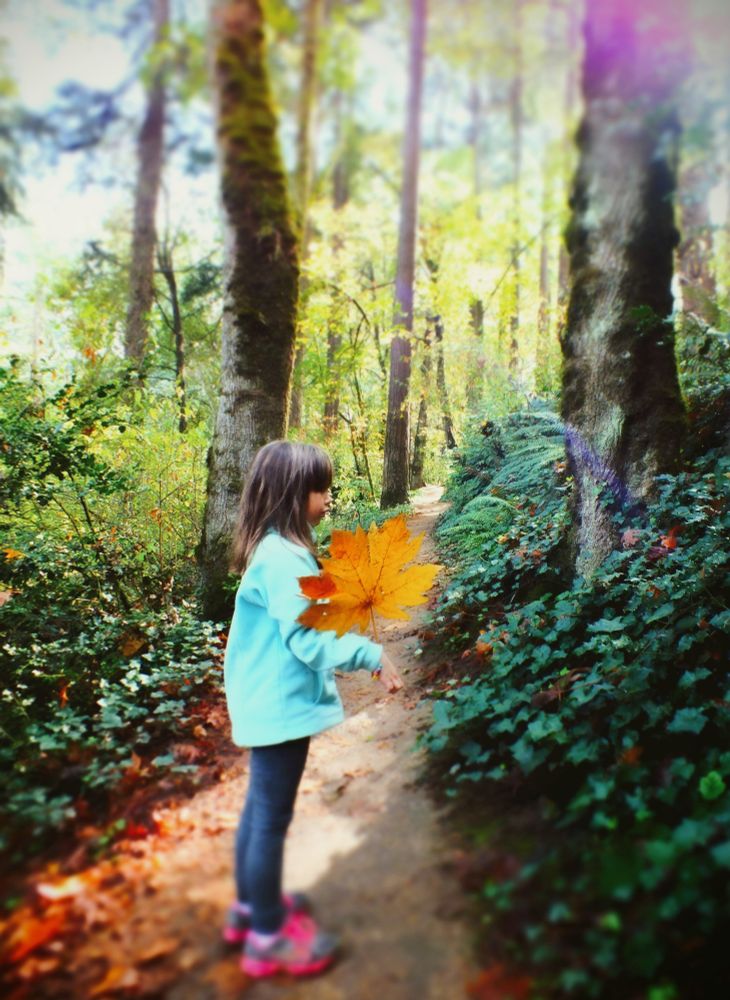 Little girl standing on a trail holding a leaf that is larger than her head