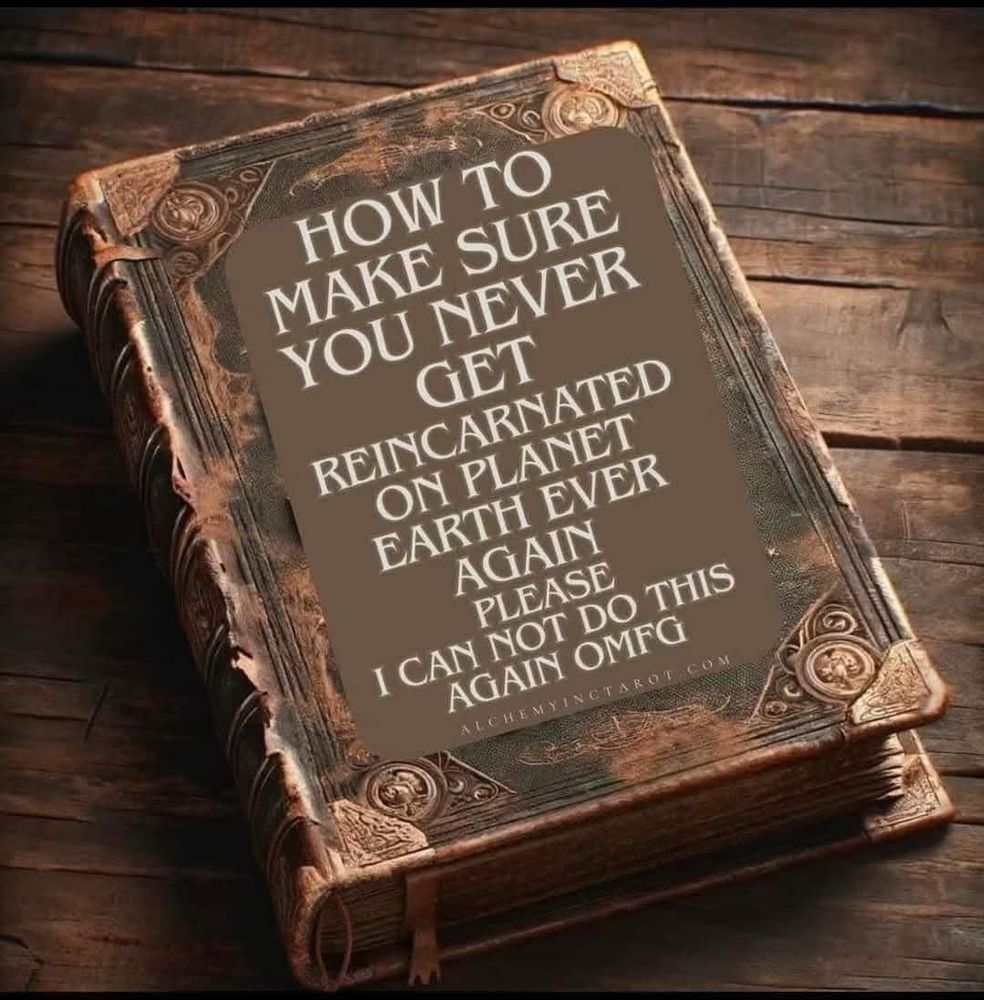 Book with title "How to make sure you never get reincarnated on planet earth ever again please I can not do this again omfg"