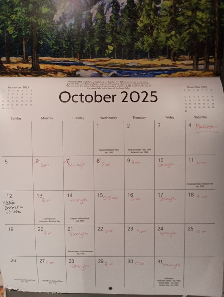 October calendar with Loki the cockatiel nibbles at the bottom