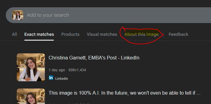 A Google's reverse image search with the "about this image" link circled