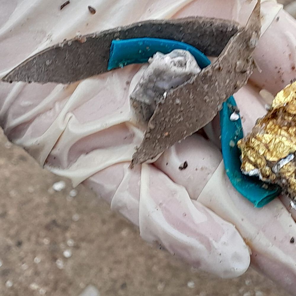 Eine behandschuhte Hand hält kleine, nasse Müllstücke, darunter Plastik- und Metallreste.