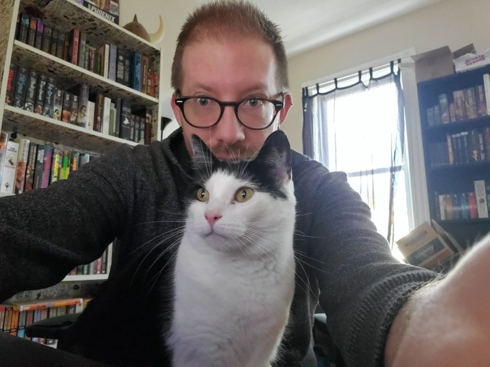 A black and white tuxedo cat sits on a human lap, staring off to the side as if they've seen something interesting. The human stares directly into the camera.