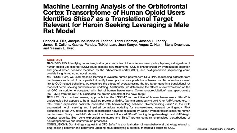 Image of the title, authors, and abstract of the linked paper.