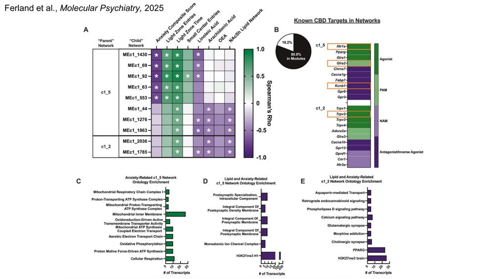 Gene network analysis, showing the correlations between the gene targets of CBD and the anxiety and lipid networks in the NAcSh.