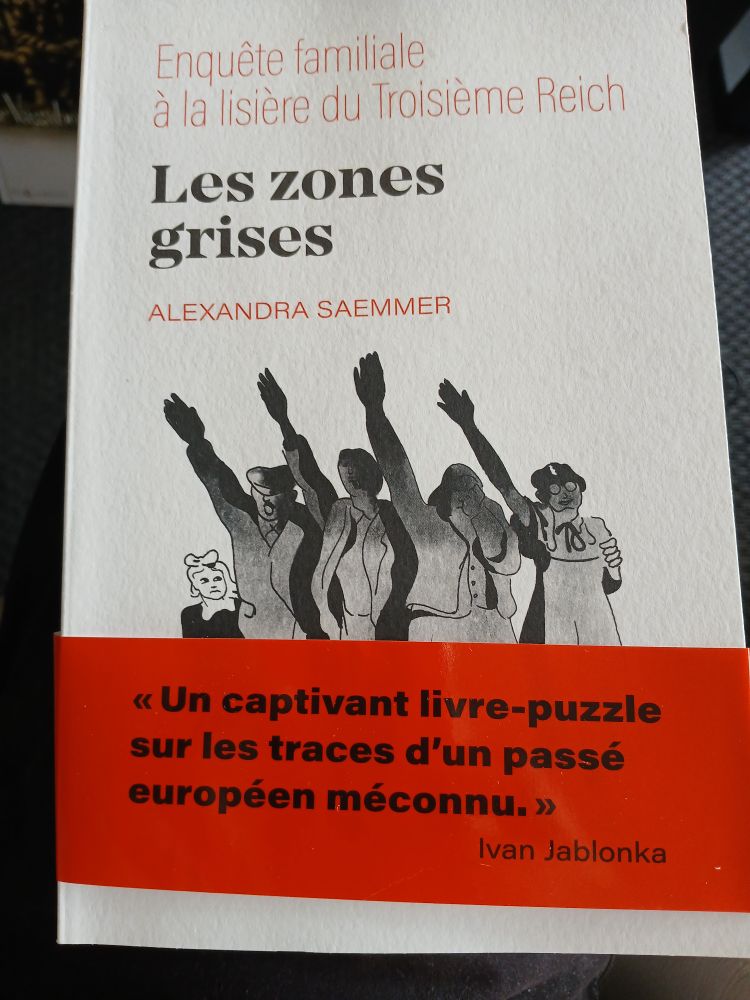 Couverture du livre " Les zones grises " de Alexandra Saemmer. 