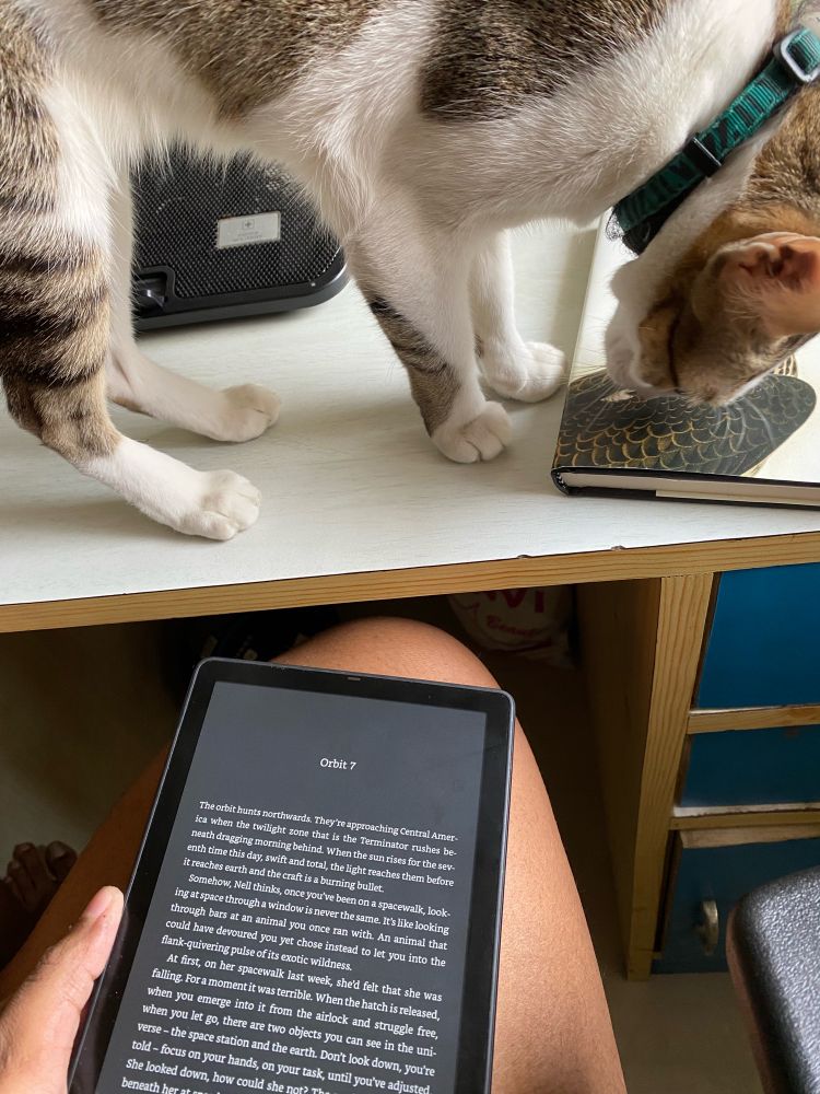 A black and white indie cat on top of a desk curiously sniffing a book while there is a kindle open on a brown skinned person’s lap with the chapter titled Orbit 7 of Samantha Harvey’s Orbital which won the Booker Prize just last week.