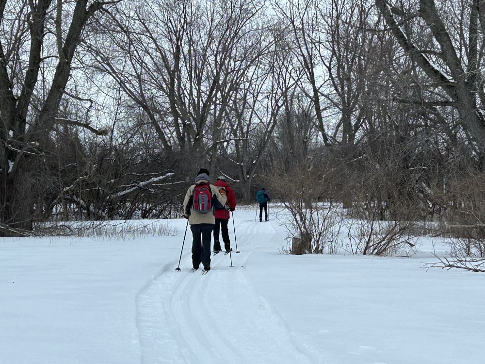 Skiing with friends 