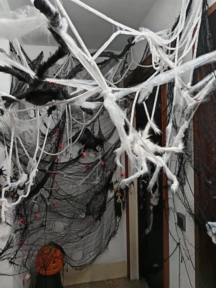 Halloween decorations on the front of my door - includes a few fake spider webs, two giant "plush" spiders and a fake pumpkin.