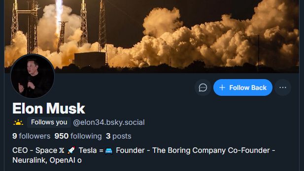 Screenshot of "Elon Musk" profile. 9 followers, 950 following, 3 posts.