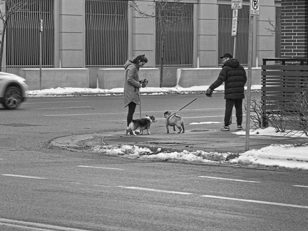 Black and white photo of two people on the sidewalk, each with a dog on a leash. The dogs are sniffing each other hesitantly as they are meeting for the first time. On the street next to them, a massing car is coming into frame.