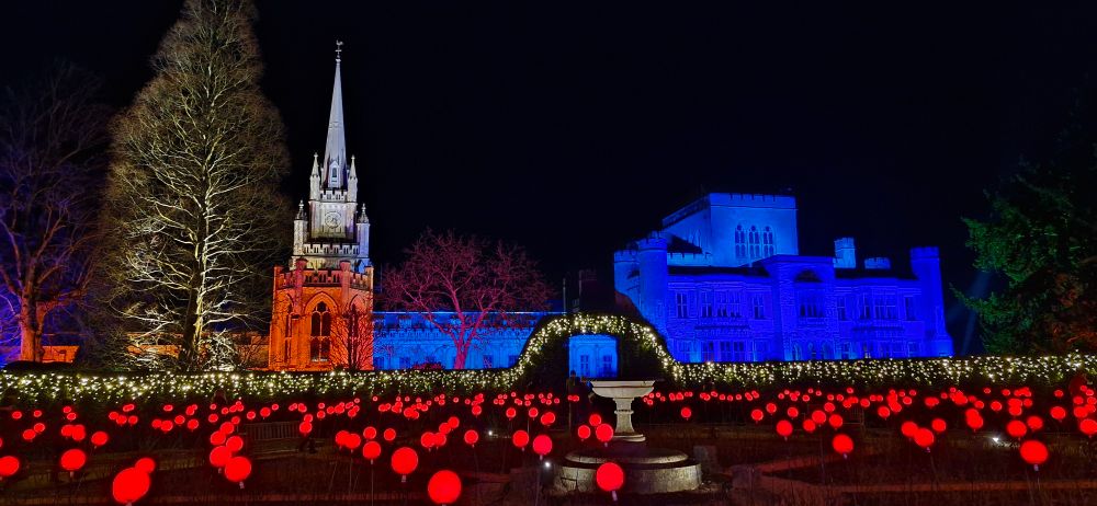 Illuminations show in Ashridge estate gardens 