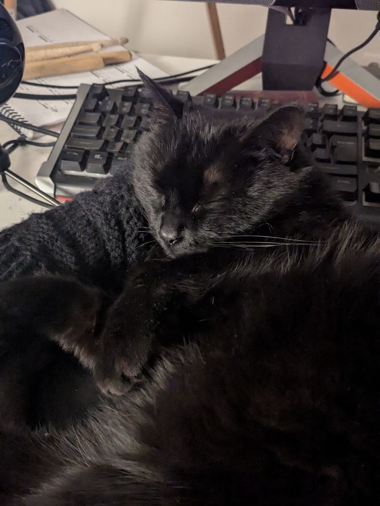 our black cat Eva sleeping on my mouse pad using my hand as a pillow