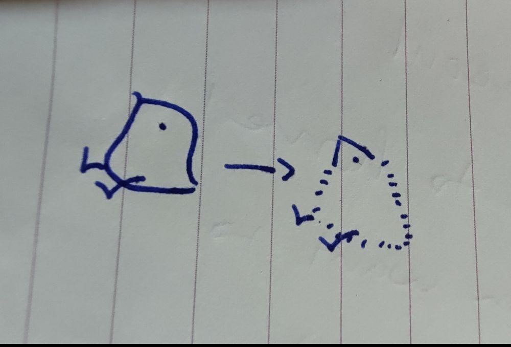 Drawing of a wug with an arrow pointing towards another wug that is more fluffy. The implication is that wugs become fluffier in winter like birds do.