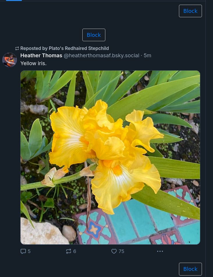 Comment image