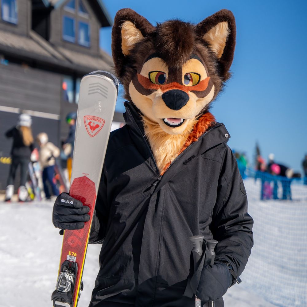 fursuit in ski gear holding a pair of skis while standing on a mountain slope