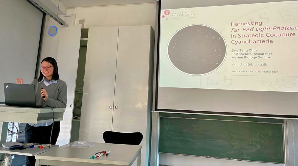 Sing teng delivering a lecture at MPICI